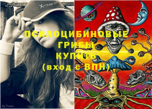 гидропоника Балабаново
