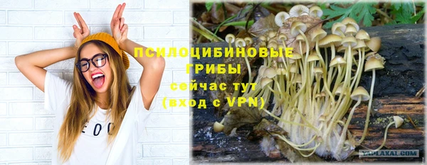 гидропоника Балабаново
