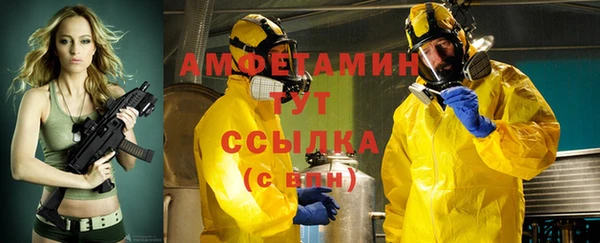 индика Няндома