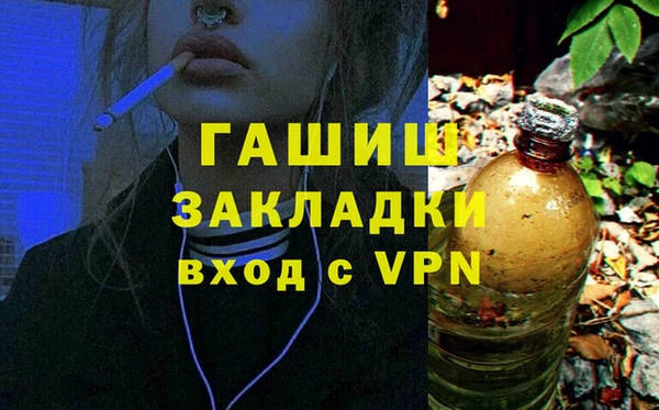 индика Няндома
