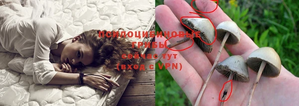 гидропоника Балабаново