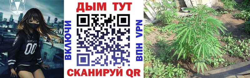 хочу   Печора  МАРИХУАНА гибрид 